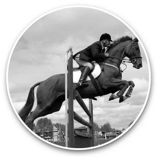 2 x Vinyl Stickers 20cm (bw) - Chestnut Horse Jumping Fun  #38824