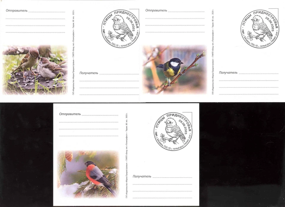 Transnistria 2025 Birds of Transnistria 3 Maxicards Foto 2 de 2