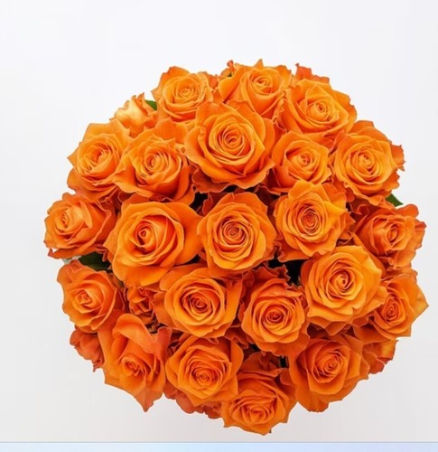 Farm Fresh Cut Elegant Roses Flower Bouquet 25 Stems - Picture 2 of 2