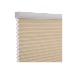 Changshade Cordless & Light Filtering Cellular Shade, Tools-Free Pleated Poly...