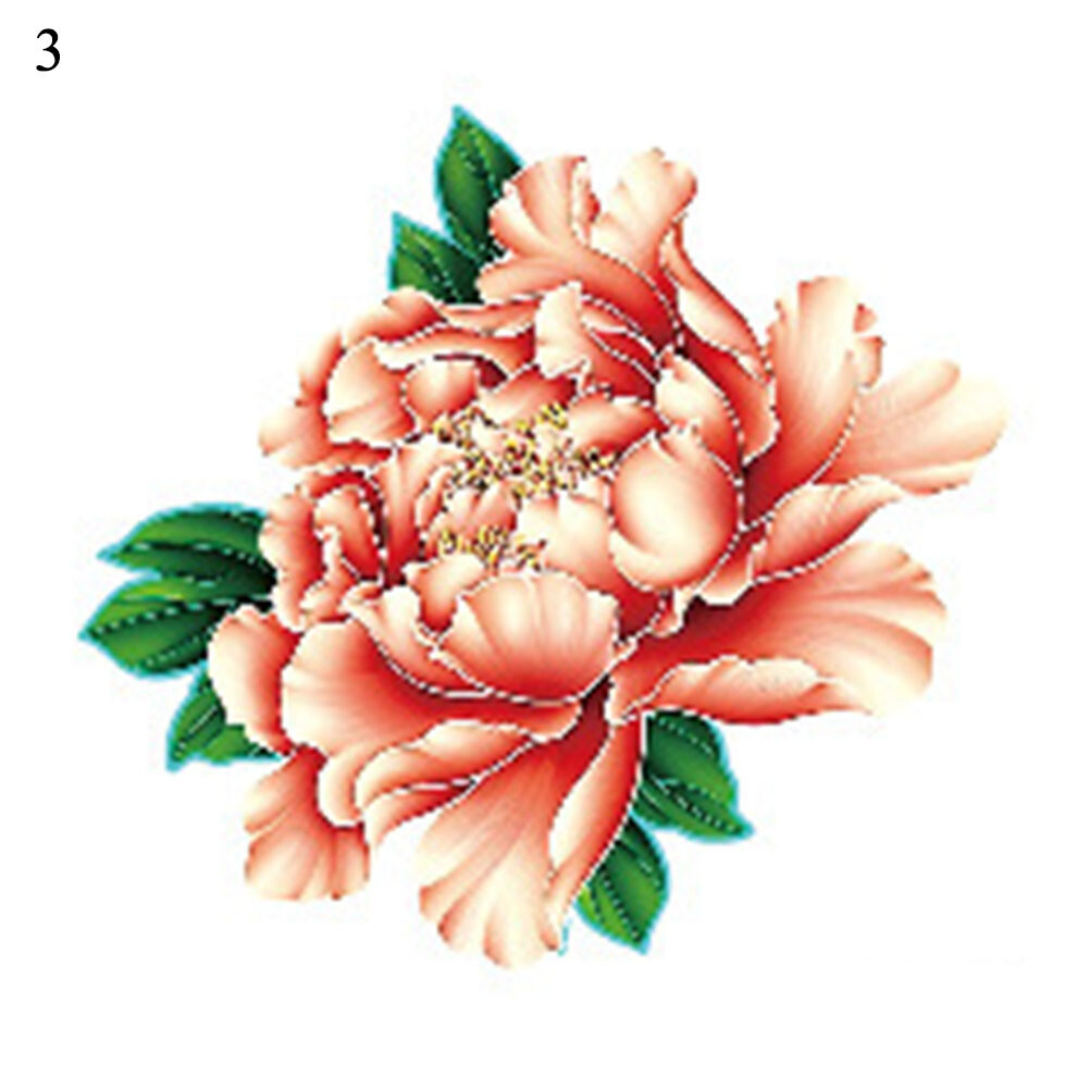 Bild 6 von 20