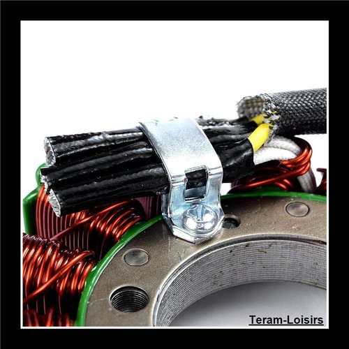 Stator Allumage pour Ducati Panigale 1199 R de 2013 à 2016 NEUF - Photo 8/9