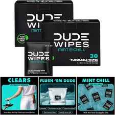 On-The-Go Flushable Wipes 2 Pack 60 Count Mint Chill Extra-Large Individually