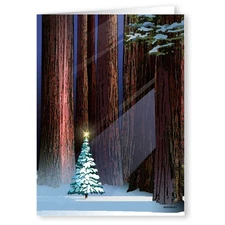 Stonehouse Collection Christmas Tree in Forest Holiday Cards Set 18 w/Envelopes