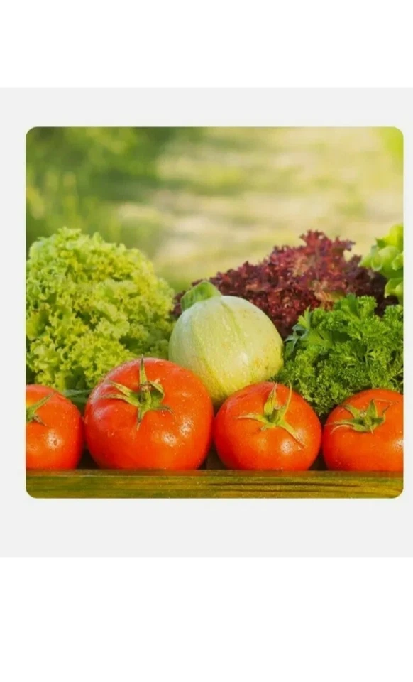 CONCIME NPK 20-20-20 MICROELEMENTI ORTO GIARDINO 1 KG AZOTO FOSFORO POTASSIO - Immagine 3 di 4