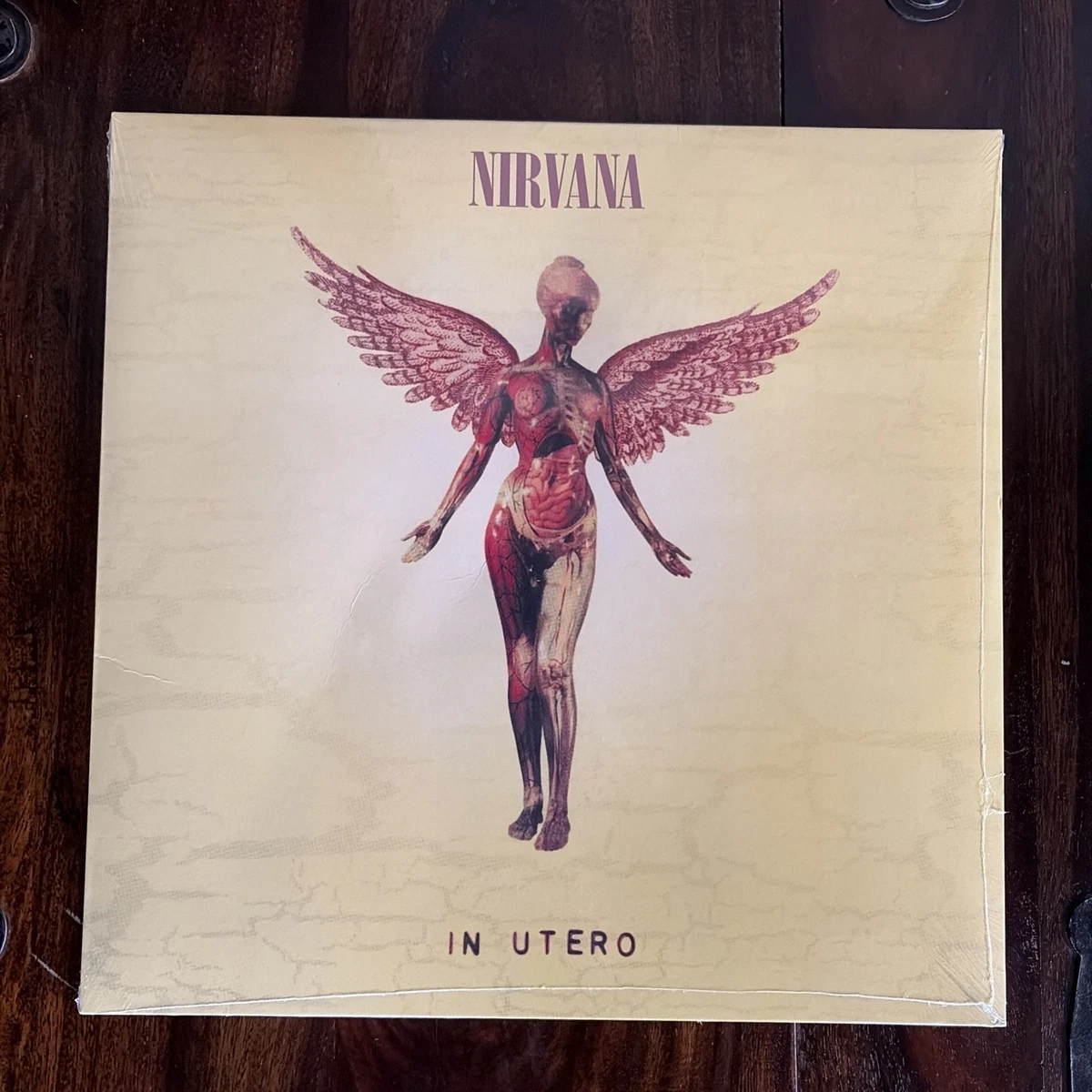 Nirvana Indiana Utero Indiana Vinyl Records for sale - eBay