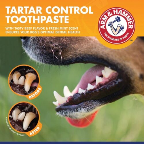 Arm & Hammer Tartar Control Enzymatic Toothpaste for Dogs Beef 70mL - Picture 3 of 3