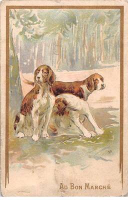Chromos - COR14550 - Cheap - Dogs - Trees - approx 12x8 cm - in l