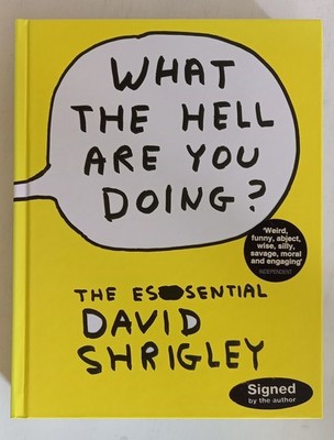 David Shrigley - What The Hell Are You Doing? Signiert Signed by The Author