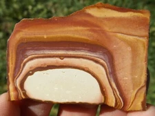 DIG-N-UTAH: POLISHED SALINA WONDERSTONE SLAB UTAH # L 498