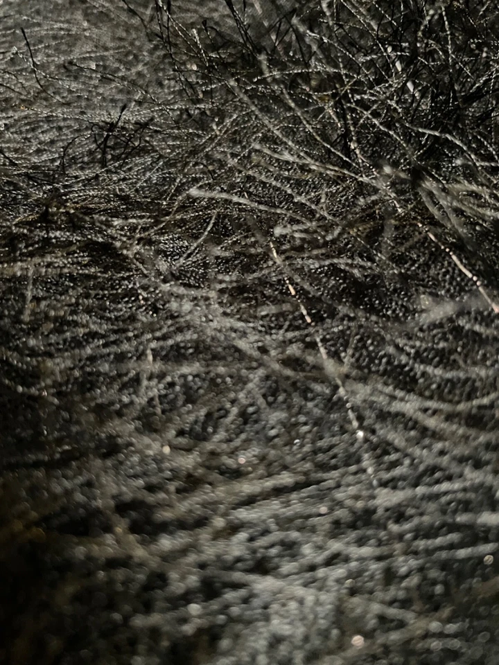 Fabric Lot 5 Yds 24 Ins 60 W Black Eyelash Lame  Silver Threads Stretch Knit - Image 4 of 4