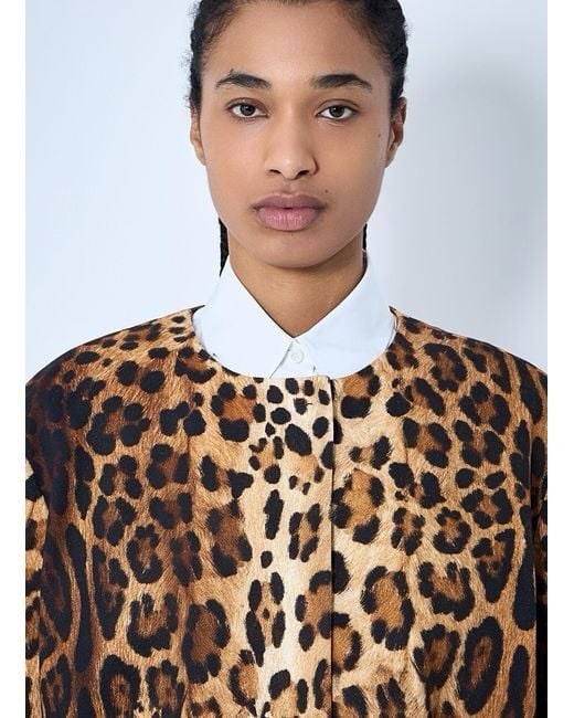 PRADA - Leopard Print Single Breasted Jacket Runw… - image 2