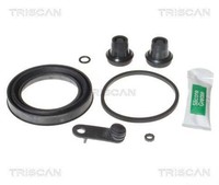 Triscan Reparatursatz, Bremssattel 8170 206028 FüR CitroËN