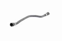 Vaico KüHlerschlauch V20-0896 FüR BMW E46 3Er Touring Compact 320 323 325 328