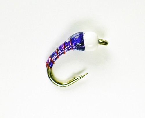 Eistüte Nymphen Chironomid Holo Purple - Premium Forelle Fliegenfischen Fliegen - Bild 2 von 24