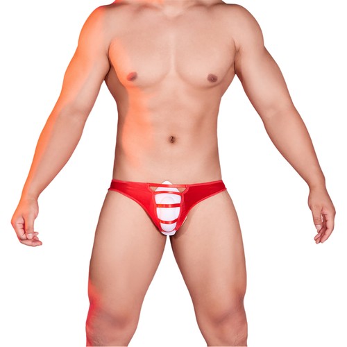 Men Underpants Lingerie Briefs See Through Panties Tempting Costume Low Rise - Picture 14 of 38