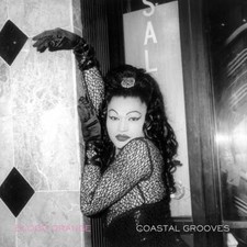 Blood Orange - Coastal Grooves - Vinyl Record