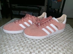 gazelle rosa