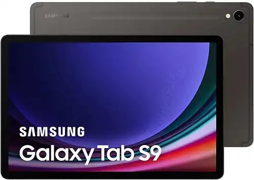 Samsung Galaxy Tab S9 · 256GB · Cellular