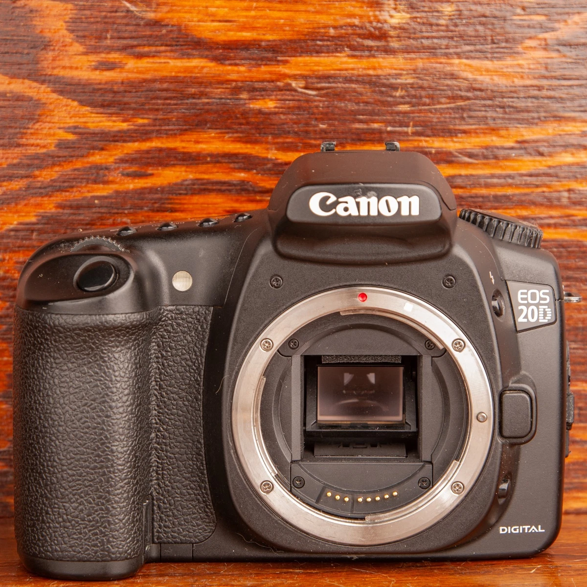 Canon EOS 20D Digital Cameras for Sale | Shop New & Used Digital