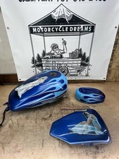 2010 Harley Davidson Sportster Custom Painted Gas Tank Air Cleaner Oil Bag Cover