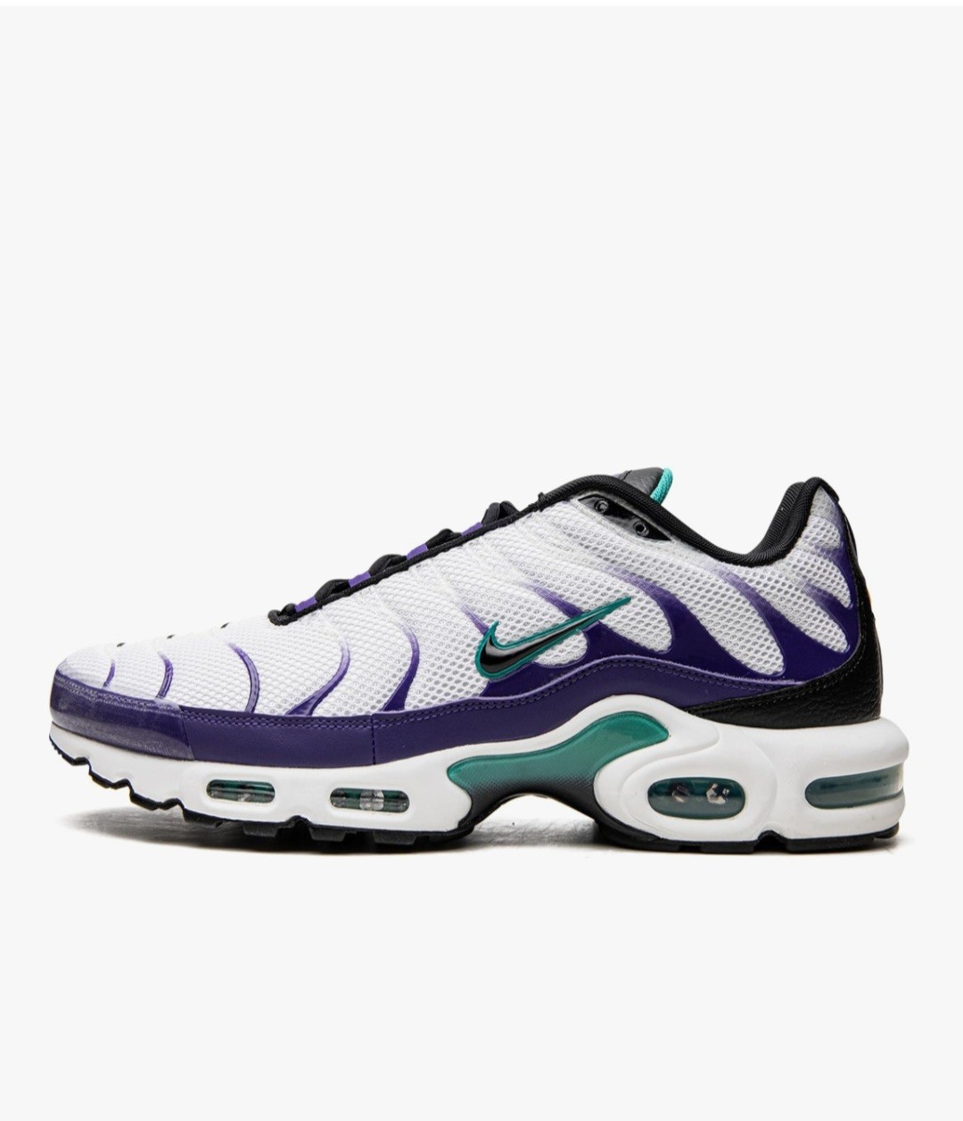Nike Air Max Plus TN 25th Anniversary Sneakers Size US 9