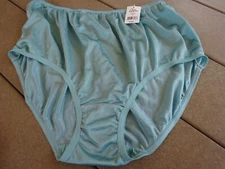 Teri Lingerie Shiny 100% Nylon Moss Granny Panty Panties Brief #331 Size 8 NWT