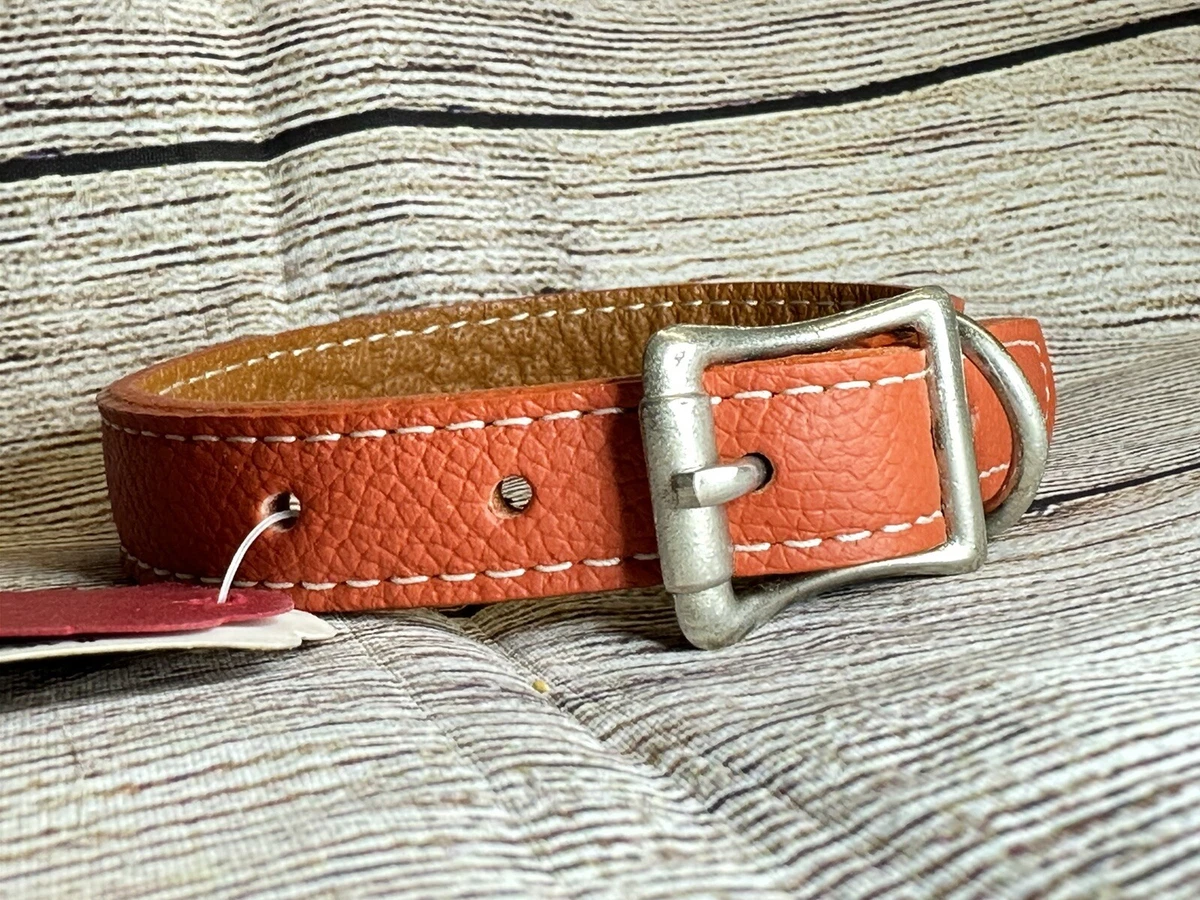 Auburn leather hotsell dog collar
