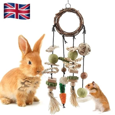 Rabbit Treats Rabbits Cage Hanging Chew Toys Guinea Pig Chinchilla Bunny Toys UK