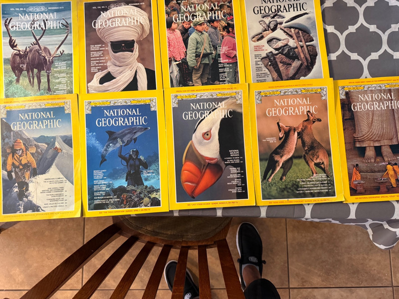 1979 Lot of 9 National Geographic Magazine kangaroos humpbacks dolphins