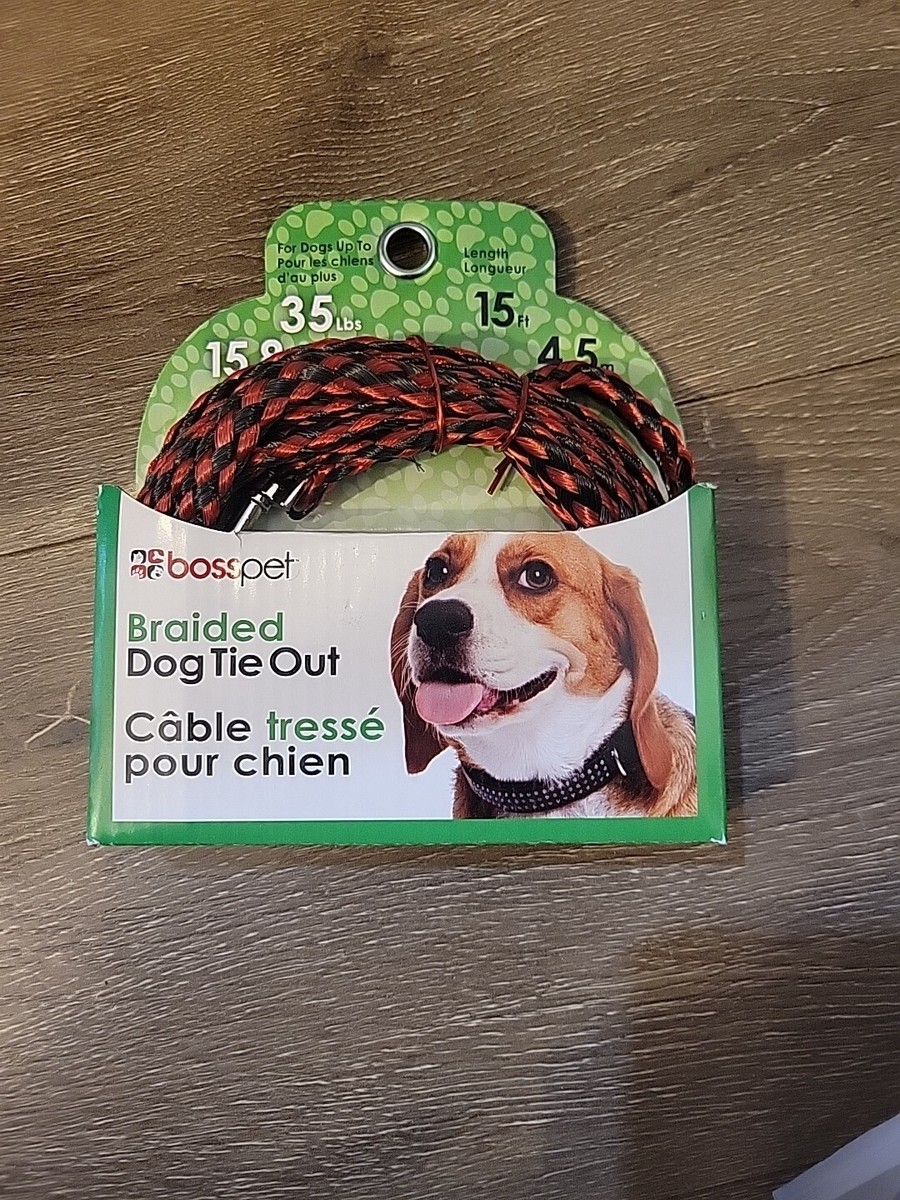 Boss Pet Poly Rope Tie Out, 10' Length, Q241000099 - Main Image