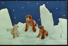 Advertising Postcard Steiff Plush Zoo Favorites Seals Walrus 11 Robbie  Paddy