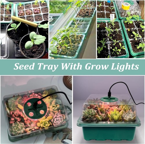 Electric Seed Tray Propagator Unit with Lights and Lids for Seed Germination - Picture 8 of 9