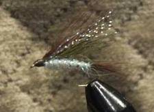 Shiner Streamers 1 Dozen Wet Trout Fly Brown & Silver F791