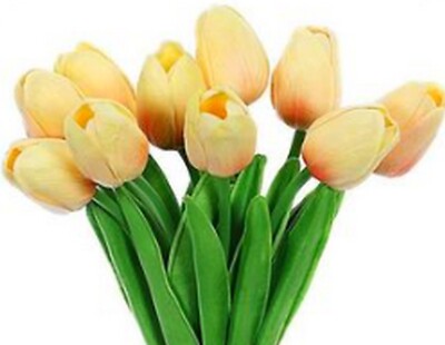 Blume Tulpe Schaum gefälscht künstlich echte Note ewiges Geschenk Wohndeko Pflanze