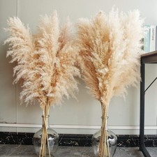 40" inch 10 Stems Natural Pampas Grass Decor Tall, pompas Grass, Tall Pampas ...