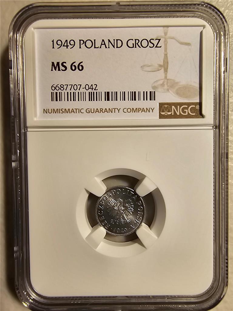 Poland 1 Grosz 1949 NGC MS 66
