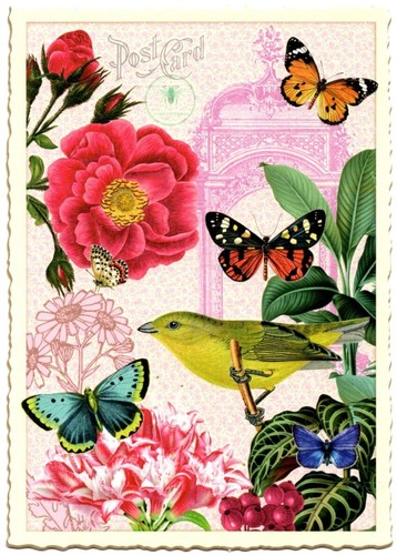 Edition Tausendschön | Postkarte A6 | Flora & Fauna | Motiv wählbar - Bild 46 von 78