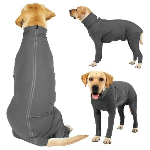 dog surgery bodysuit
