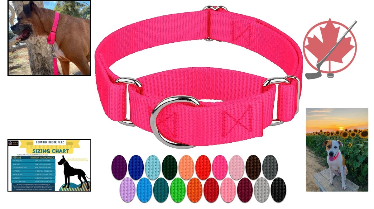 2 inch sale dog collar hardware