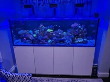 240 Total Gallon Salt Water  Red Sea Reefer  3xl G2+