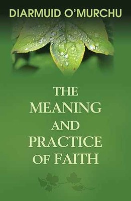 The Meaning and Practice of Faith - Paperback, by O'Murchu Diarmuid - Very Good
