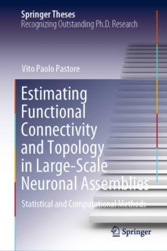 Thumbnail - Estimating Functional Connectivity And Topology In Large-scale