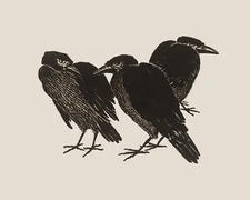 1800s Three Crows Vintage Illustration Giclee Print on Fine Art Paper