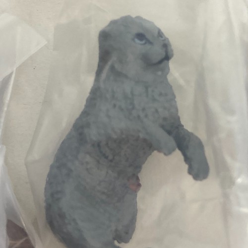 Bandai Gashapon Figure Yubimaki Collection Cat Set of 6 Japan Scottish Fold - Picture 8 of 13