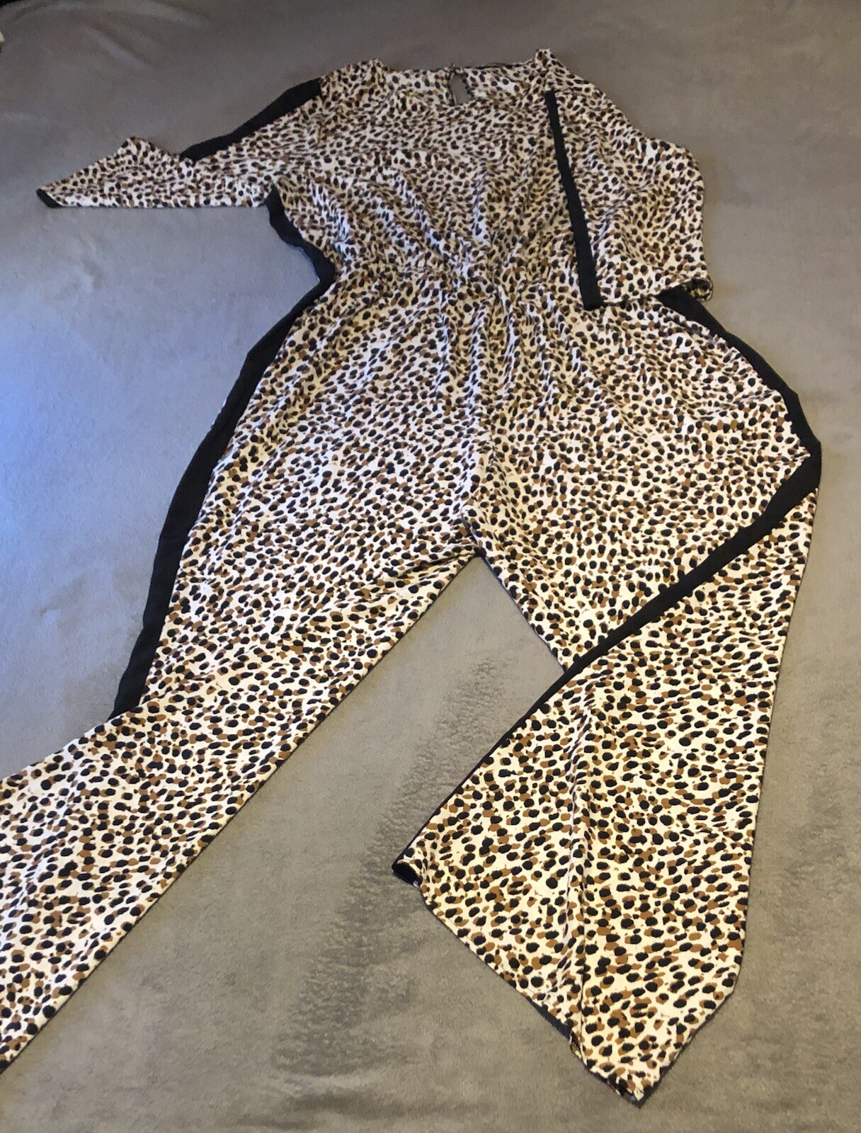Picture 5 of 11