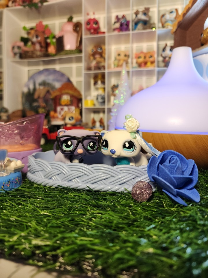 Littlest Pet Shop LPS Furet 798 - Hasbro - Animal Collection - Non Modifié