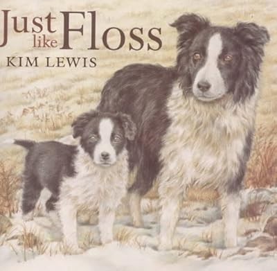 Just Like Floss, Lewis, Kim, Used; Good Book