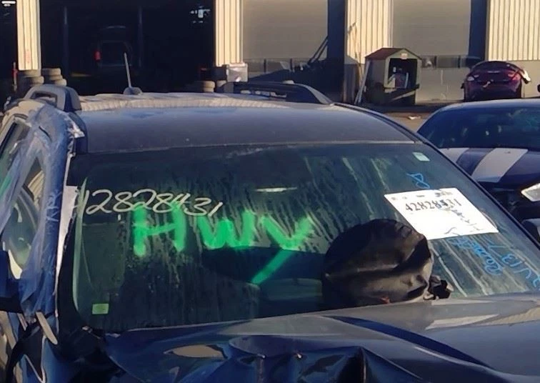 2017 GMC Terrain Front Passenger Right RH Door Trim Panel in Black - Image 3 of 4