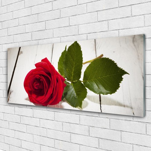Tableau Mural Sous Verre Tulup 125x50 Cm - Motif Herbe Et Sable, Cadre Moderne, Neuf